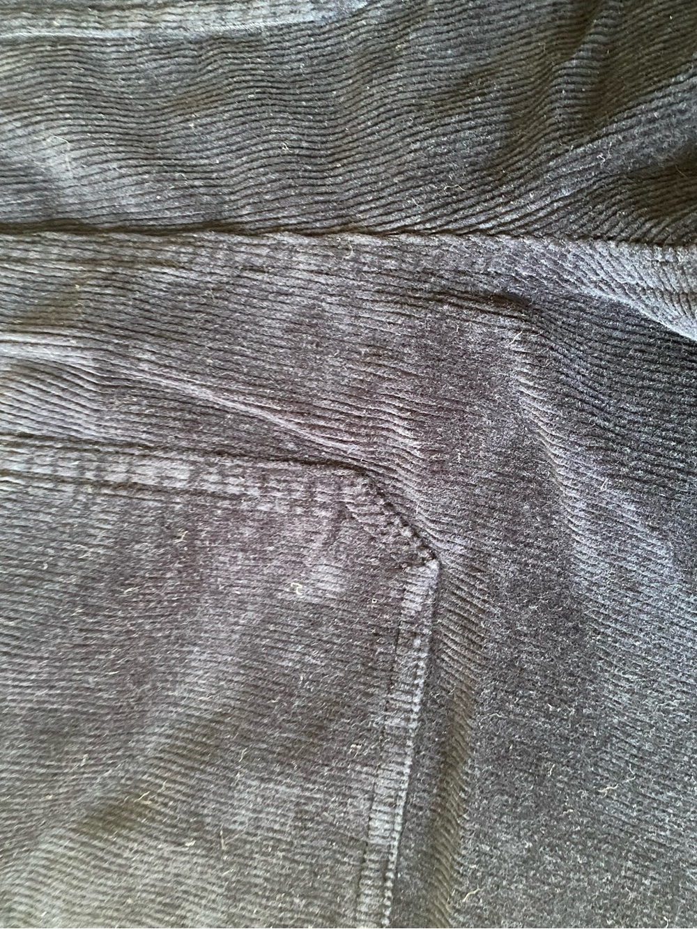 QUINCE Navy Corduroy Pant 14 - Picture 6 of 9